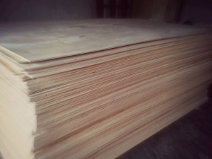 jual beli triplek bekas